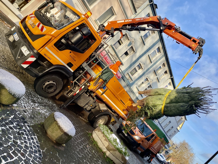 Gerther Weihnachtsbaum Aufstellen
