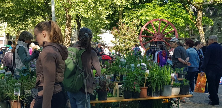 Flohmarkt am 10.05.2025 Blumen und Staudenverkauf