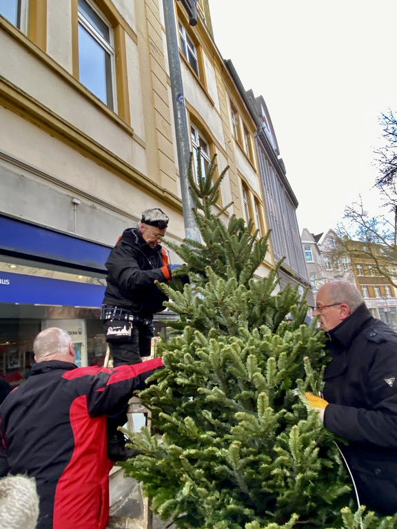 Gerther Weihnachtsbaum Aufstellen