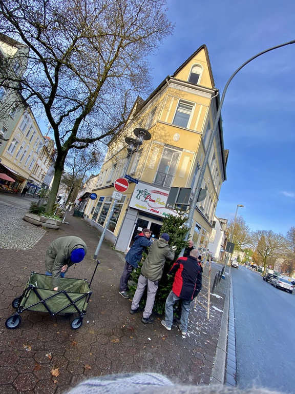 Gerther Weihnachtsbaum Aufstellen