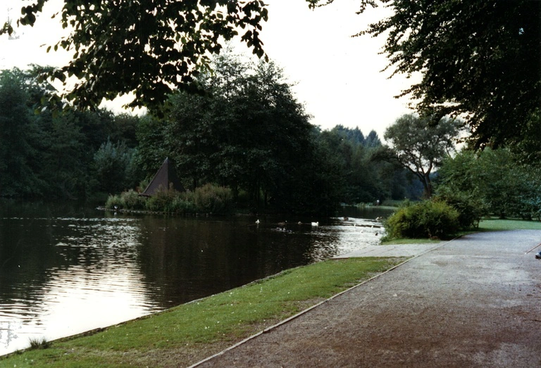 Insel im runden Teich