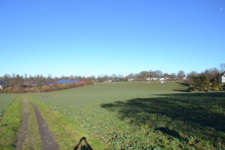 Am Hillerberg Blick über die Felder Richtung Holthauser Straße