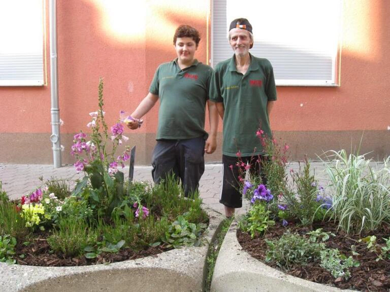 Pflege der Blumenkübel in der Fußgängerzone 27.07.2013