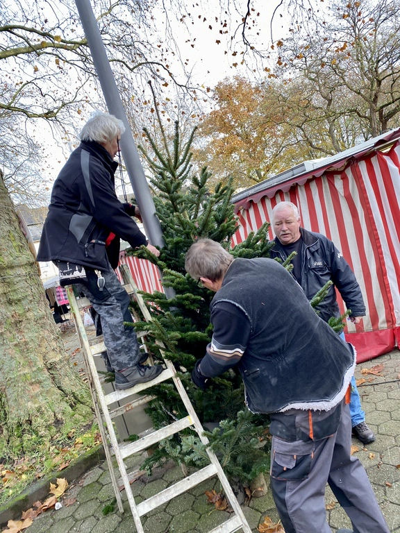 Weihnachtsbäume am 22.11.2023 aufstellen
