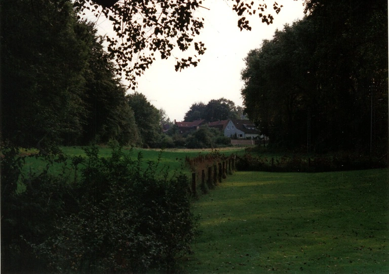 Wiese im Brennholt mit Blick auf Brünnings Haus