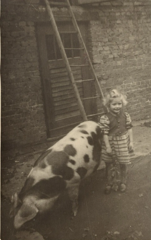 Kind mit Schwein