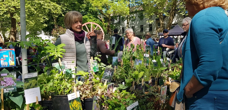 Flohmarkt am 10.05.2025, Blumenstand