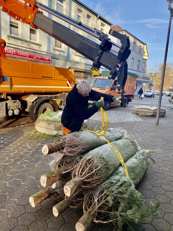 Gerther Weihnachtsbaum Aufstellen