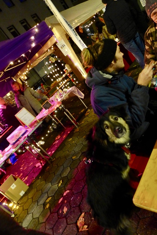 Gerther Weihnachtsmarkt am 05.12.2025