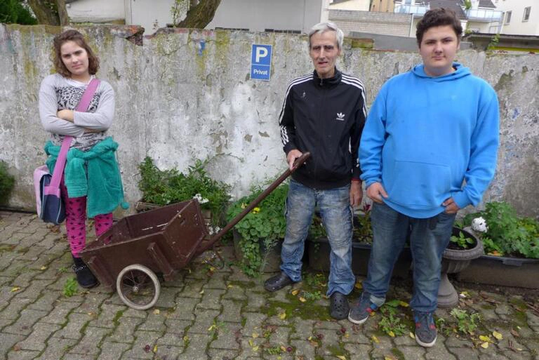 Blumenkübel Bepflanzung in der Fußgängerzone 14.9.2015