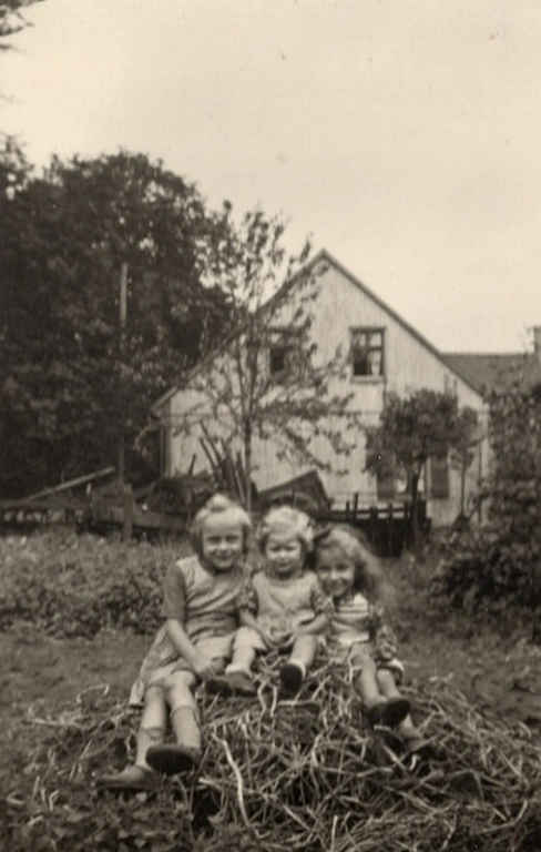 3 Kinder