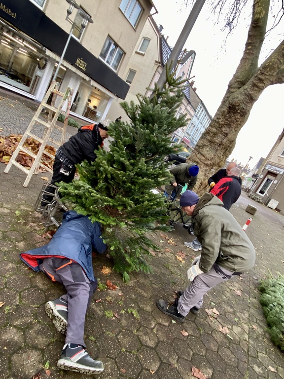 Gerther Weihnachtsbaum Aufstellen