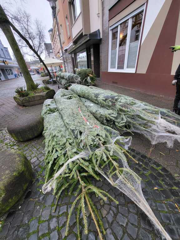 Weihnachtsbäume aufstellen in der Gerther Fußgängerzone 20.11.2021