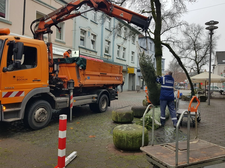 Auffbau der Weihnachtsbäume in der Fußgängerzone 19.11.2021