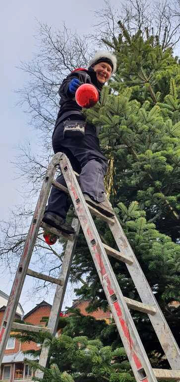 Weihnachtsbaum abschmücken im Marktgarten  am 13.01.2022