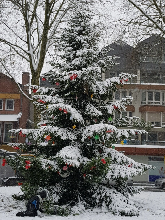 Weihnachtsmarkt 2017 Tannenbaum im Marktgarten mit Schnee